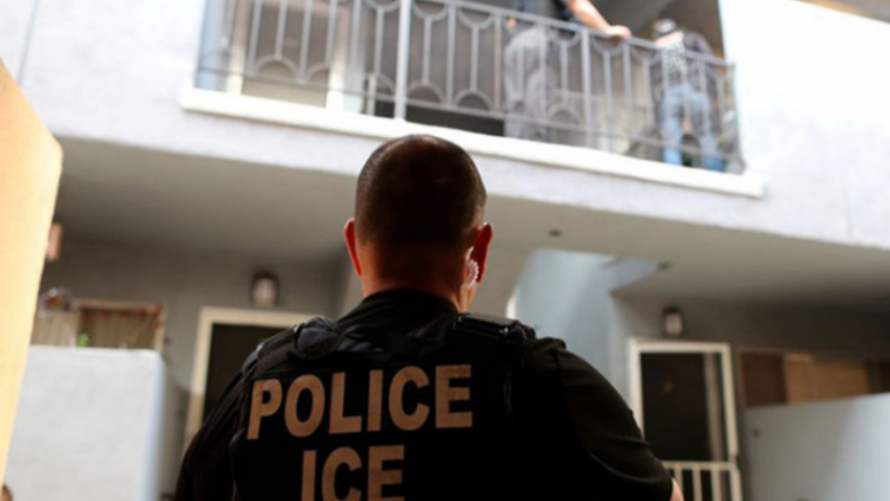 Derin dondurucuda canlı olarak dondurulmuş 180’e yakın köpek, tavşan ve kuş türü bulundu