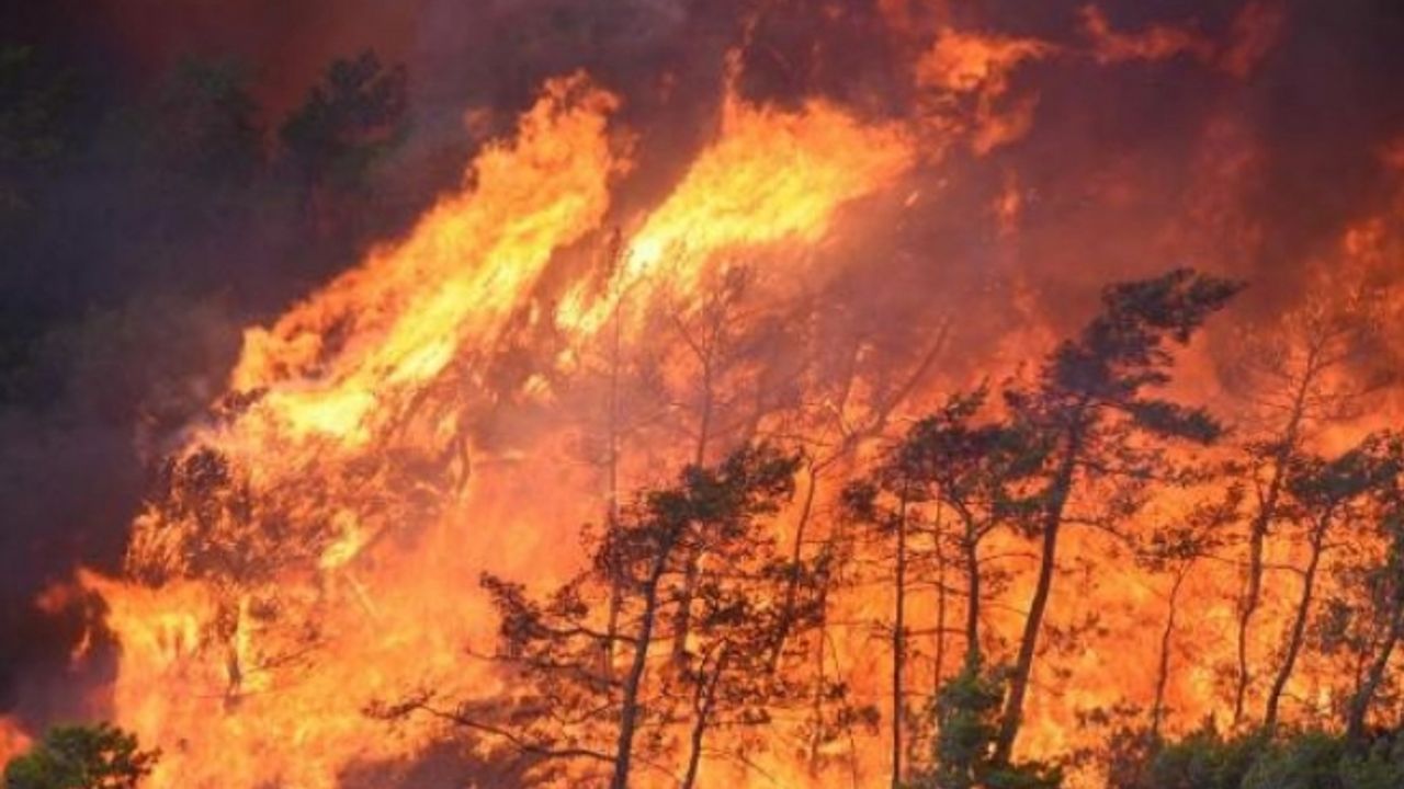 Marmaris'teki orman yangınında 2'nci gün; çıkış nedeni için özel ekip kuruldu
