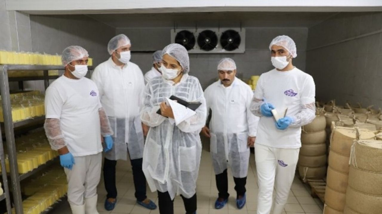 SÜTAŞ ve PINAR'a dev rakip! Ordu süt ürünleri Türkiye pazarına giriyor