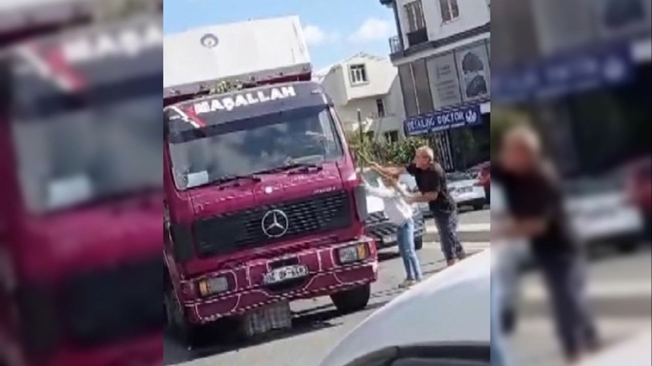 Arnavutköy'de kamyon ağaca çarptı, bahçe sahibi baba ve oğlu şoföre saldırdı