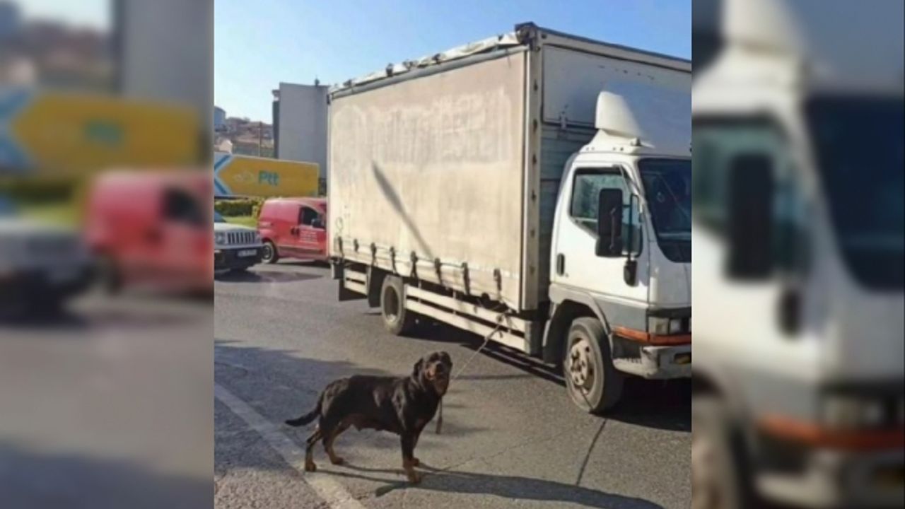Köpeği kamyonete bağlayan sürücüye ceza