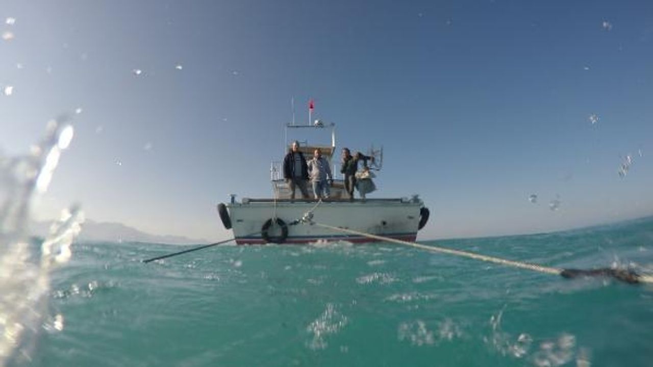 Balık tüketenler dikkat: Bu durum insanlara da zarar verir