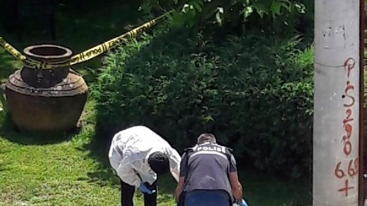 İranlı emlakçı çifti öldüren sanığa 50 yıl hapis