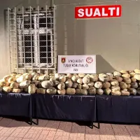 GÜNDEM