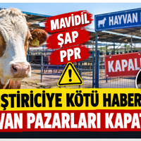 GÜNDEM