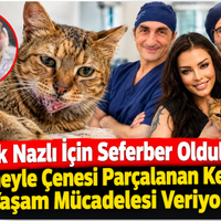 MAGAZİN