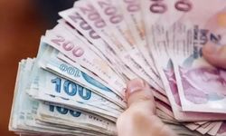 İŞKUR'dan yeni proje: Kişi başı 25 bin TL verilecek