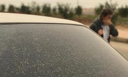 Meteorolojiden uyarı! Toz taşınımına dikkat...