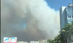 İzmir duman altında kaldı! Yangın devam ediyor