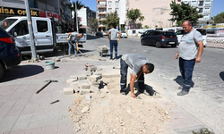 Muradiye’nin Kronik Sorunları Büyükşehirle Çözülüyor