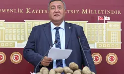 TBMM'de CHP'li Gürer'den patatesli açıklama!