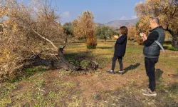 İzmir küllerinden doğacak