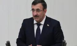 Cevdet Yılmaz: Dezenflasyon sürecini daha da güçlendireceğiz