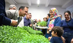 İzmir Bornova’da 400 bin fide toprakla buluşuyor