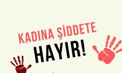 Meclis’ten kadına şiddetle mücadelede 113 maddelik yol haritası