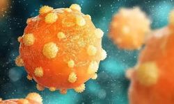 Yunanistan’da Strep A alarmı: 9 okulda eğitime ara verildi