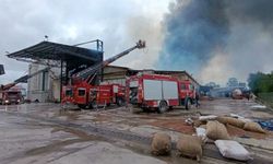 Son dakika... Sakarya’da fındık fabrikasında yangın