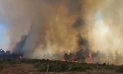 Çanakkale Merkez’de orman yangını