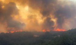Bursa’nın Yenişehir ilçesinde orman yangını