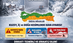 Karadeniz ve Doğu Anadolu'da kar yağışı etkili olacak