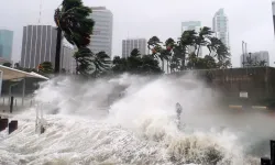 Doğal afetler sigorta sektörünü zorluyor... Küresel ekonomik kayıplar 260 milyar dolar oldu