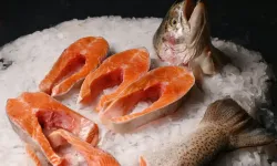 Karadenizin gururu... Türk somonu su ürünleri ihracatının yeni lokomotifi