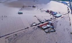 Yağışlardan Sonra Manisa Ovasının Hali