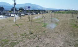 Manisa'da yeşil alanlarda akıllı sulama dönemi