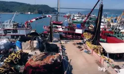 Hamside rekor sezon... 245 bin ton avcılıkla bereketli kapanış