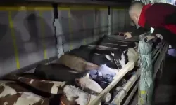 Kurban Bayramı öncesi canlı hayvan kontrolüne sıkı denetim