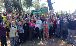 Danıştay’dan Akbelen Kararı: Acele Kamulaştırma İptaline Yürütmeyi Durdurma