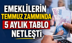 Emeklilerin Temmuz Zammında 5 Aylık Tablo Netleşti
