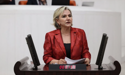 CHP'de Bir İstifa Daha: Nimet Özdemir Partisinden Ayrıldı