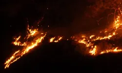 Ayvalık yangınında son durum