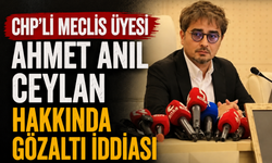 CHP'li Meclis Üyesi Ahmet Anıl Ceylan Hakkında Gözaltı İddiası