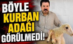 Böyle Kurban Adağı Görülmedi! Savcı Sayan, Önder Sav'ın CHP'den Ayrılığının Ardından Adağını Kesti