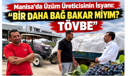 Manisa’da Üzüm Üreticisinin İsyanı: “Bir Daha Bağ Bakar Mıyım? Tövbe”