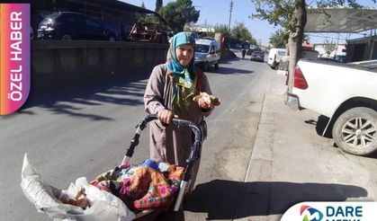 Torun gezdirmiyor, gözleme satıyor!