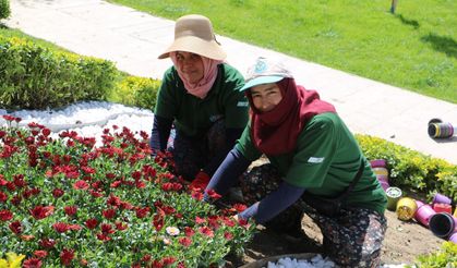Mesir Festivali Coşkusu Parklarda Başlıyor