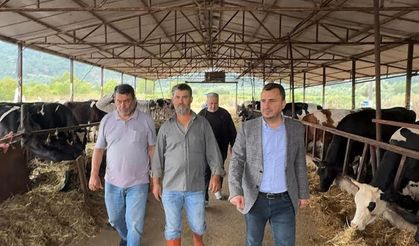 Besici Vekile Dertlendi "Bu Hükümet İktidarda Kalırsa Hayvancılığı Bırakacağım"