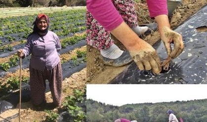 Akhisar’ın Köyleri Hizmete Kavuştu