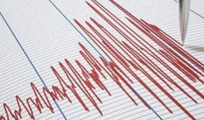 Bingöl'de 4,3 büyüklüğünde deprem meydana geldi