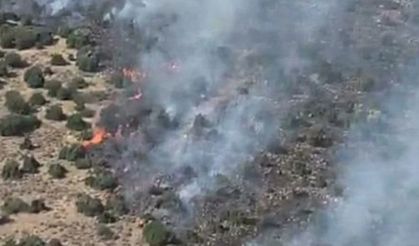 İzmir Kemalpaşa'da orman yangını: Müdahale sürüyor