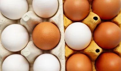 Üretim 11 aydır düşüyor... Vatandaş yumurtaya ulaşamıyor!