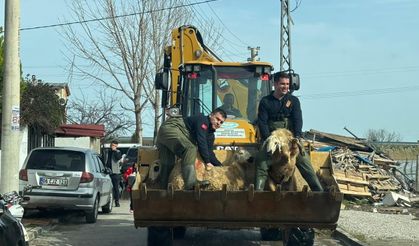 Manisa Büyükşehir Seferber: 44 Vatandaş ve 127 Hayvan Tahliye Edildi