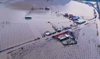 Yağışlardan Sonra Manisa Ovasının Hali