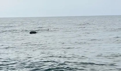 Karadeniz'deki şüpheli mayın SAS timlerince imha edildi!