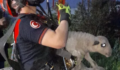 Kuyuya düşen kuzuya İzmir İtfaiyesi'nden nefes kesen kurtarma