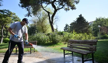 Manisa Büyükşehir zararlılarla mücadelede hız kesmiyor