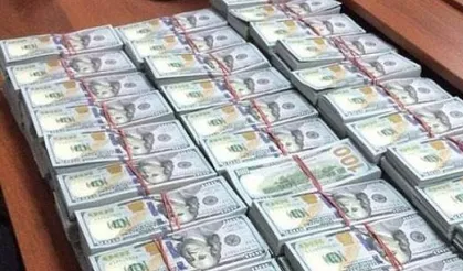 Yurt dışından varlık barışı paraları geliyor!